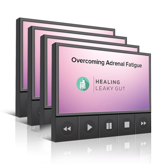 Dr Axe Healing Leaky Gut Program Course Farm Online Courses And