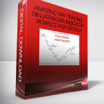 Amazing Day Trading Ninjatrader Indicator Perfect For Stocks, Futures And Forex