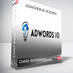 Caitlin Schlichting – AdWords IQ Academy