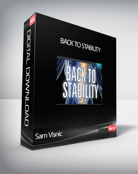 Sam Visnic – Back To Stability