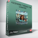 Joy Baker – Ascending Through The Chakras