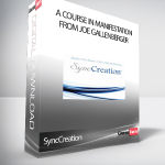 SyncCreation – A Course in Manifestation from Joe Gallenberger