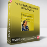 David Gordon – Therapeutic Metaphor Training LIVE