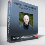 Joseph Goldstein – Abiding in Mindfulness Volumes 1 – 3