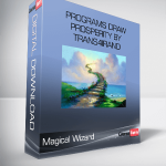 Magical Wizard – Programs Draw Prosperity by trans4irand