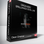 Dean Graziosi & Matt Larson - Organized Brilliance Deal Lab