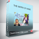 David Crow, LAc – The Matrix of Magic