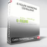 Caitlin Schlichting - 6 Figure Marketing Consultant