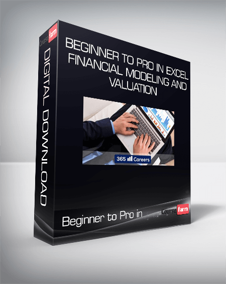 Beginner to Pro in Excel Financial Modeling and Valuation