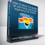 Laura Alden Kamm - How To Read the Energy of Anything (Unlocking Your Intuitive Power)