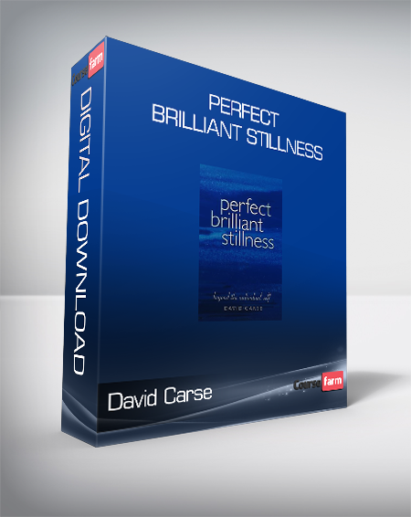 David Carse - Perfect Brilliant Stillness