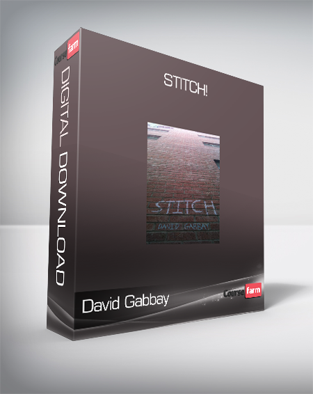 David Gabbay - Stitch!