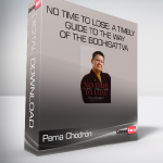 Pema Chödrön - No Time to Lose: A Timely Guide to the Way of the Bodhisattva