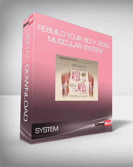 Rebuild Your Body 2016 - Muscular System