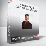 David Snyder - NLP For Profit: Copywriting Secrets