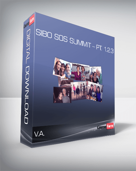 V.A. – SIBO SOS Summit – Pt. 1.2.3