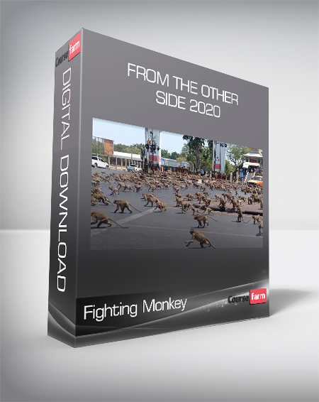 Fighting Monkey - From the Other Side 2020