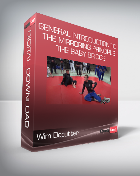 Wim Deputter - General Introduction To The Mirroring Principle & The Baby Bridge