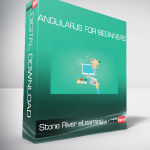 Stone River eLearning - AngularJS For Beginners