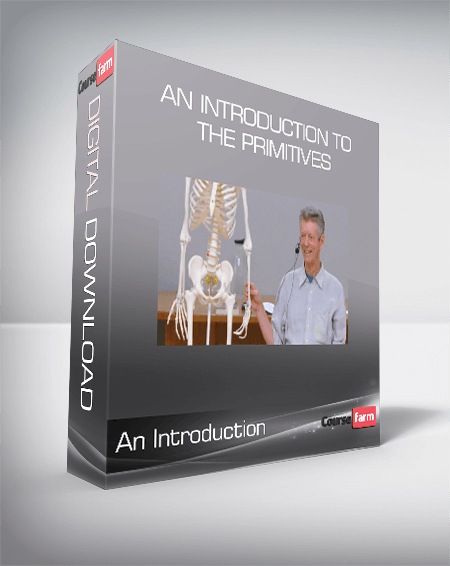 An Introduction to the Primitives