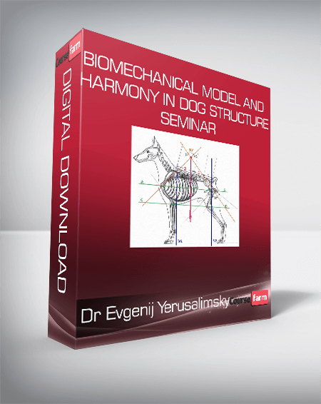 Dr Evgenij Yerusalimsky - BioMechanical Model and Harmony in Dog Structure seminar