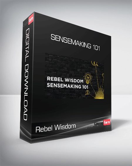 Rebel Wisdom - Sensemaking 101