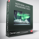 Daniel Laan - Northern Lights Processing Video