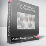 Martin Pitonak - Still Life Academy - CGI Compositing