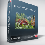 Maxtree - Plant Models Vol. 83