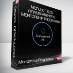 Niccolo Testa (TransparentFX) - Mentorship Programme