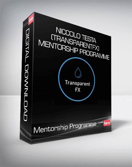 Niccolo Testa (TransparentFX) - Mentorship Programme
