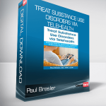 Paul Brasler - Treat Substance Use Disorders via Telehealth - Essential Skills for Assessment, Treatment & Recovery Support at a Distance