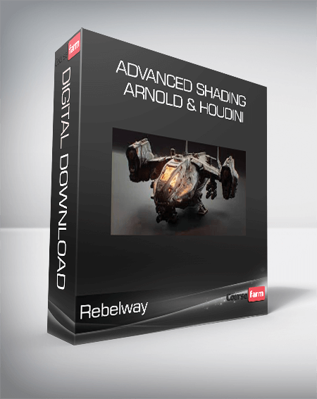 Rebelway – Advanced Shading Arnold & Houdini