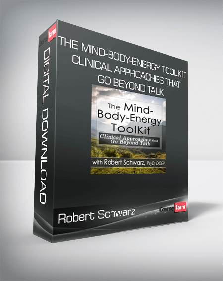 Robert Schwarz - The Mind-Body-Energy ToolKit - Clinical Approaches that Go Beyond Talk