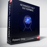 Robert Dilts - Advanced NLP Patterning