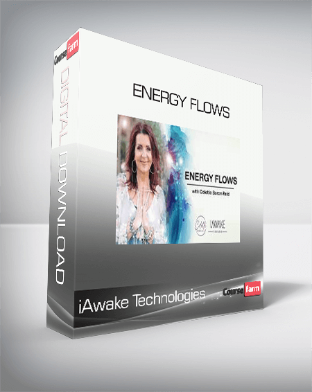 iAwake Technologies - Energy Flows