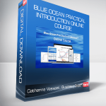 Catherine Vassant, Business Coach - Blue Ocean Practical Introduction Online Course