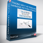 David Carli – Trading with the Trendlines – Harmonic Patterns Strategy