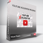 Wyse Team - YouTube Xcelerator Program