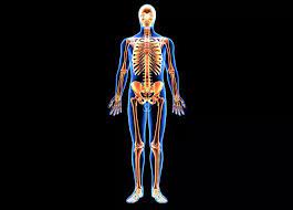 Sigh Energy - Social Magnet Powerful Plus +11x (Extra Strong)