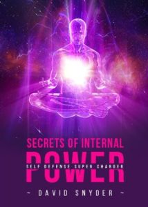 David Snyder - Secrets of Internal Power - Self Defense Supercharger