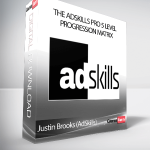 Justin Brooks (AdSkills) - The AdSkills Pro 5 Level Progression Matrix