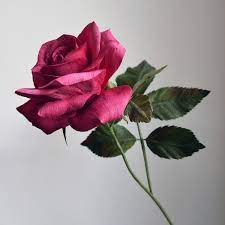 Catherine Oxley - Master The Garden Rose