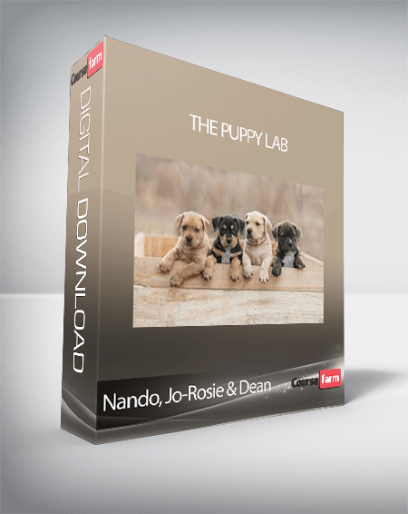 Nando, Jo-Rosie & Dean - The Puppy Lab