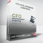 Josh Aharonoff - CFO Excel Dashboard & Reporting