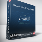 Mel Abraham - The Affluence Blueprint