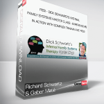 Richard Schwartz & Gabor Maté - PESI - Dick Schwartz’s Internal Family Systems Master Class - Experience IFS in Action with Complex Trauma and PTSD