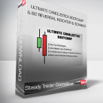 Steady Trader Secrets - Ultimate Candlestick Bootcamp & B2 Reversal Indicator & Scanner