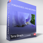 Tara Brach - Forgiveness and Meditation