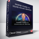 David Gibso - Immerse Yourself in Sound-Healing Vibrations